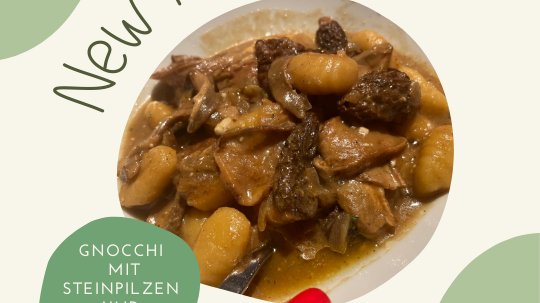 Gnocchi with Porcini and Morels