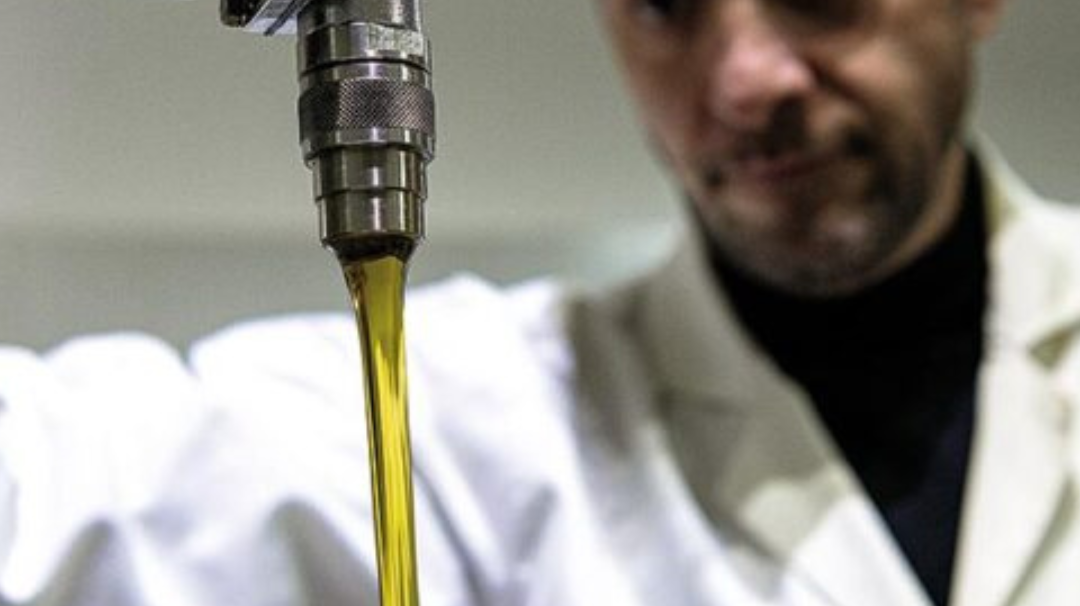 🌿 Fresh from the Olive Grove: Celebrating Pamako's Excellence in Extra Virgin Olive Oil 🌿