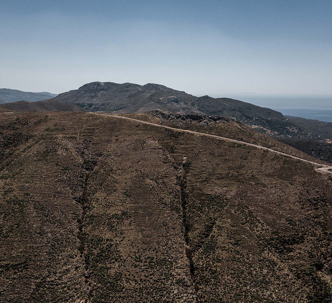 Organic Heather Honey | Heather honey from Creta | The Bio Foods | Creatan products |