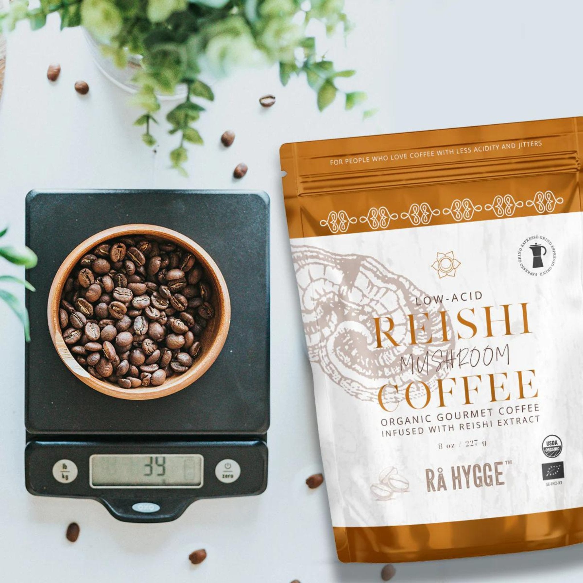 Reishi Espresso Coffee Grind | The Bio Foods | Organic Mushroom Coffee