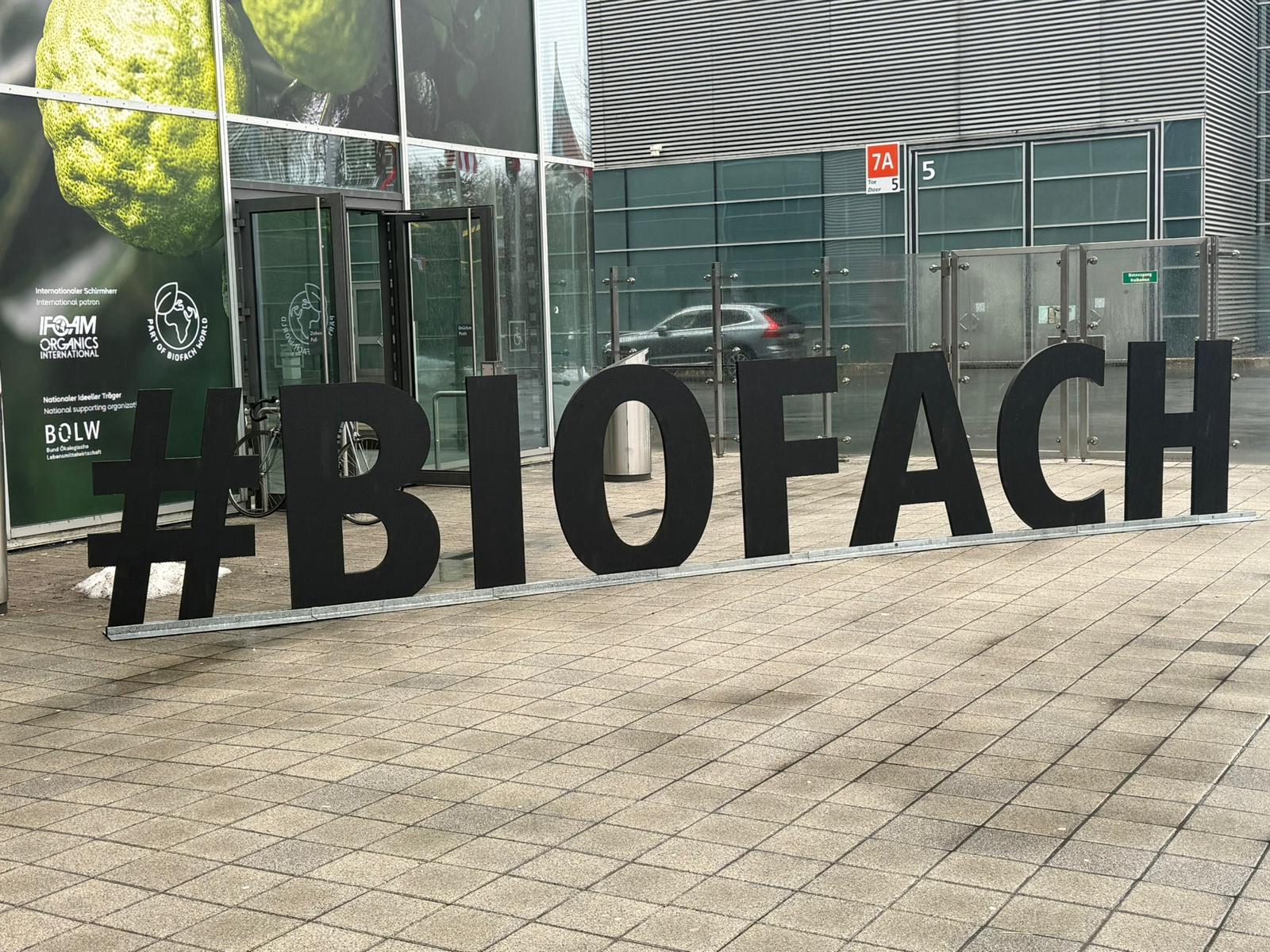 Biofach 2026: The Secrets of Great Olive Oil (And How to REALLY Taste it)