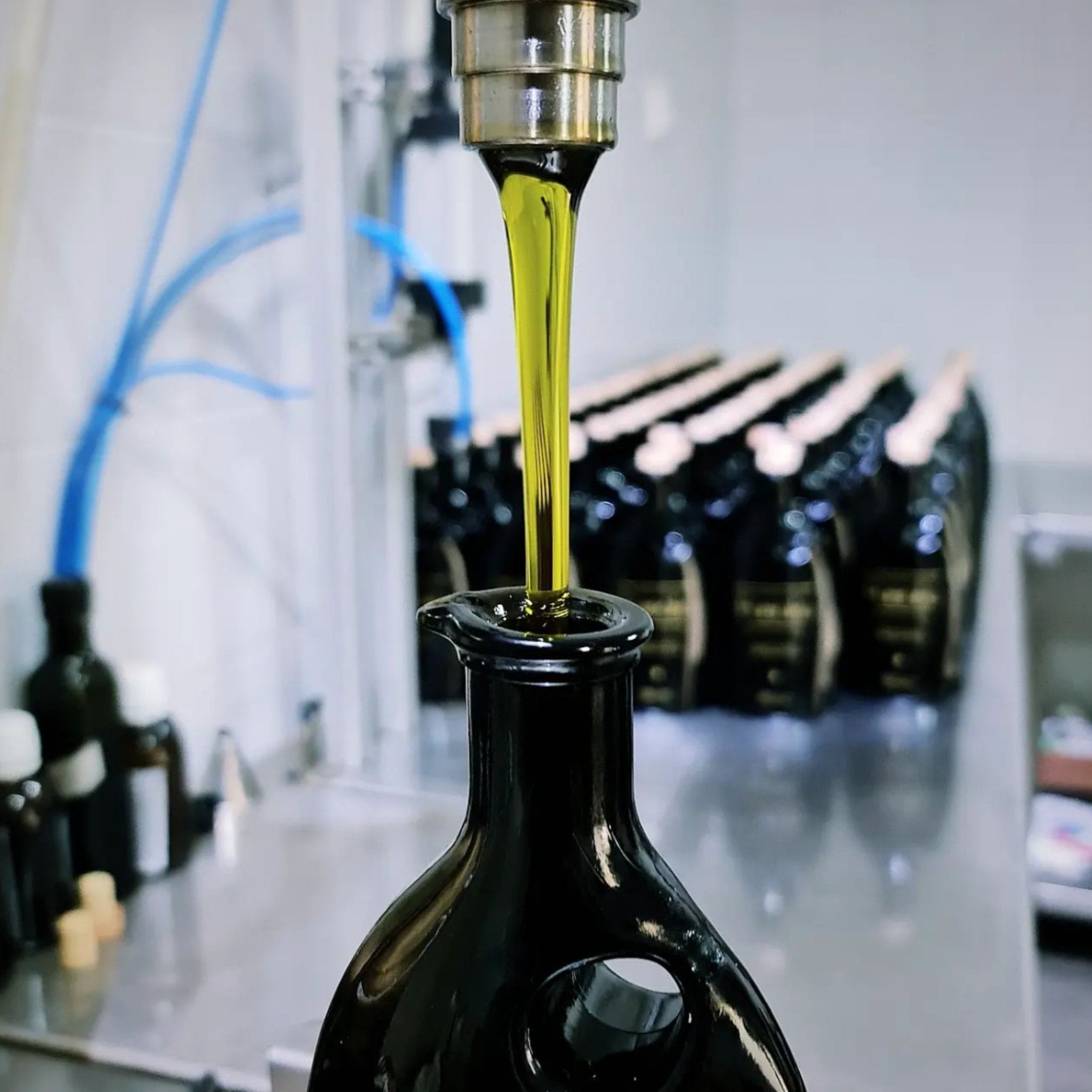 Organic EVOO test winner | Best Olive Oil 2024 | Pamako Monovarietal Olive Oil | The Bio Foods