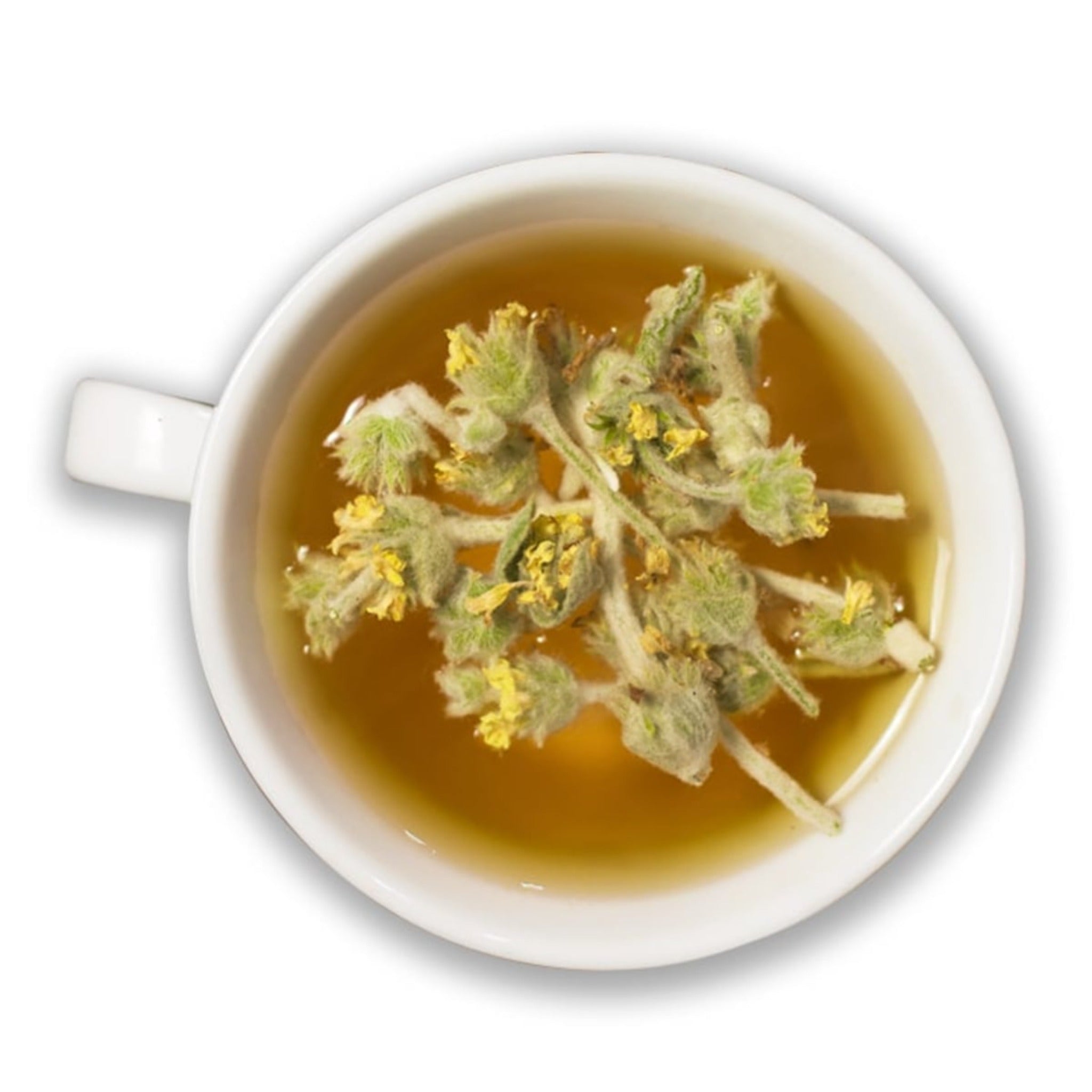 Organic Malotira Tea / Mountain Tea